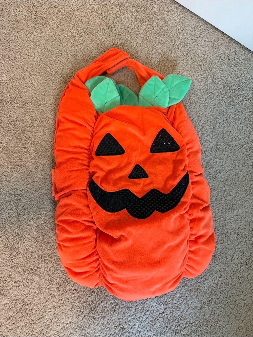 Dog Orange Pumpkin Costume - large